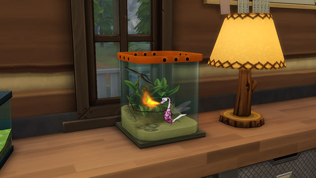 A firefly displayed in a terrarium in The Sims 4 Outdoor Retreat.