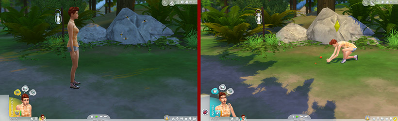 A clustered insect find in Granite Falls.