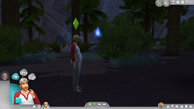 A night-time insect encounter in Granite Falls.