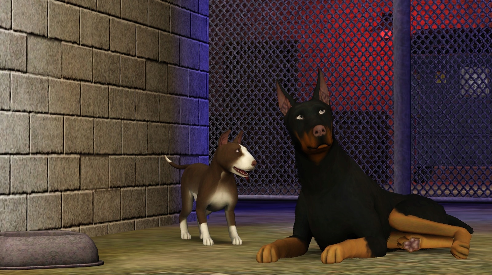 A puppy looks at a larger dog lying on the ground.
