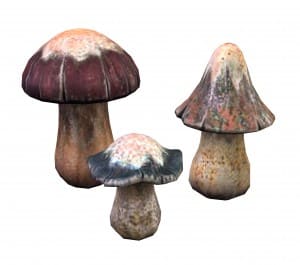 sculpturerockmushrooms