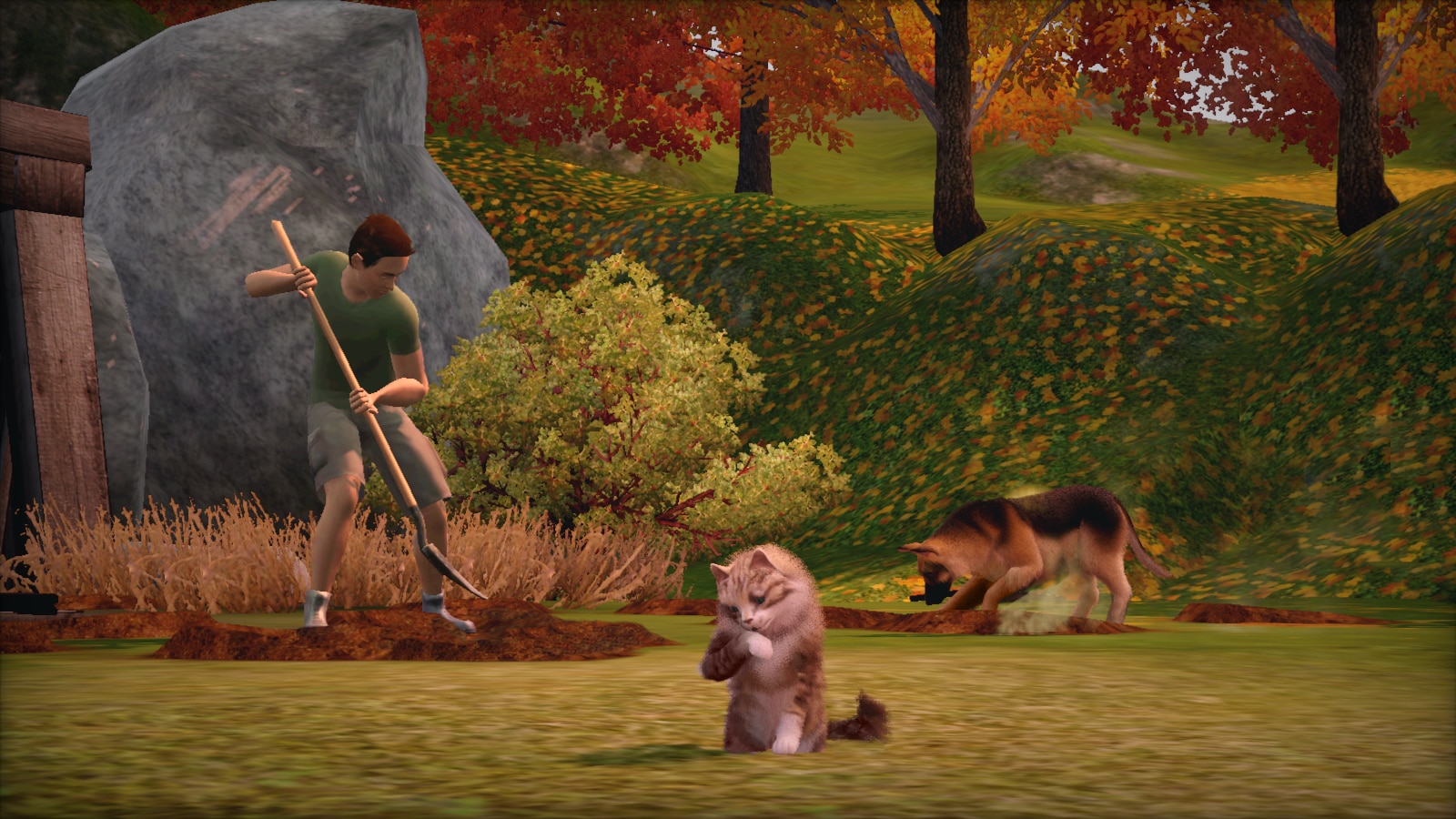 A Sim and dog dig in the grass while a cat sits nearby.