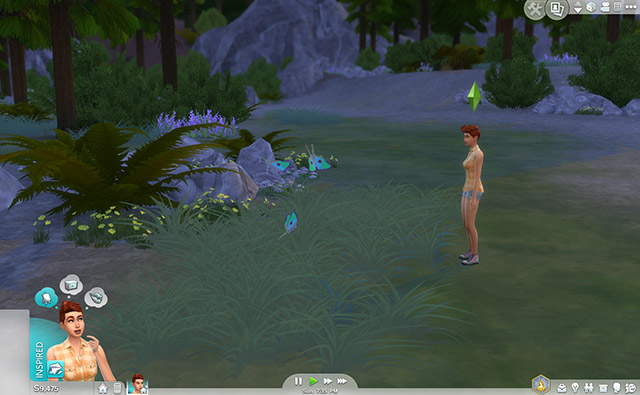 A flying insect encounter in Granite Falls.